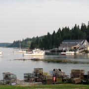 IMG6595.jpg