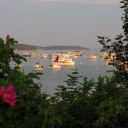 IMG6599.jpg