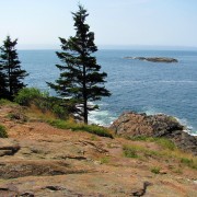 IMG6610.jpg