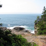 IMG6614.jpg