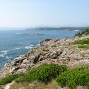 IMG6617.jpg