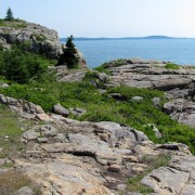 IMG6620.jpg