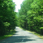 IMG6632.jpg