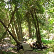 IMG6636.jpg