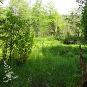 IMG6654.jpg
