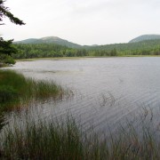 IMG6666.jpg