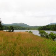 IMG6676.jpg