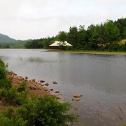 IMG6678.jpg