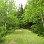 IMG6684.jpg