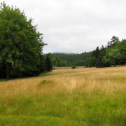 IMG6693.jpg