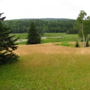 IMG6697.jpg