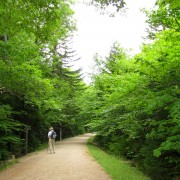 IMG6701.jpg
