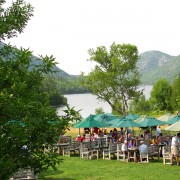 IMG6709.jpg