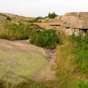 IMG6717.jpg