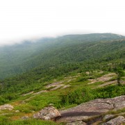 IMG6719.jpg