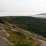 IMG6722.jpg