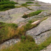 IMG6723.jpg