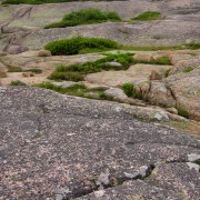 IMG6724.jpg