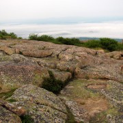 IMG6725.jpg