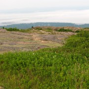 IMG6727.jpg