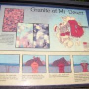 IMG6728.jpg