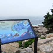 IMG6761.jpg