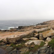 IMG6763.jpg