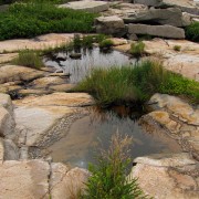 IMG6766.jpg