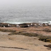 IMG6769.jpg