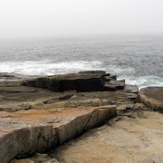 IMG6776.jpg