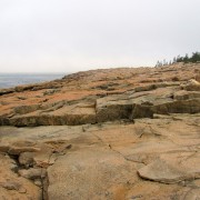 IMG6780.jpg