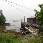 IMG6790.jpg
