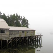 IMG6791.jpg