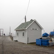 IMG6793.jpg