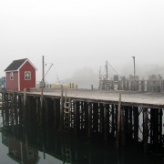 IMG6794.jpg