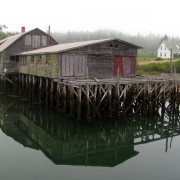 IMG6798.jpg