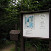 IMG6803.jpg