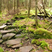 IMG6807.jpg