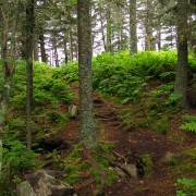 IMG6813.jpg