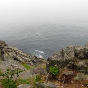 IMG6815.jpg