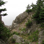 IMG6817.jpg