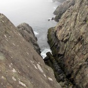 IMG6822.jpg