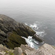 IMG6824.jpg