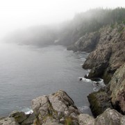 IMG6832.jpg