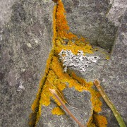 IMG6833.jpg