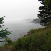 IMG6845.jpg