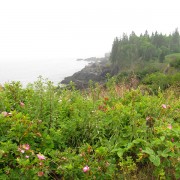 IMG6864.jpg