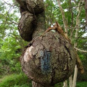 IMG6878.jpg