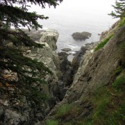 IMG6879.jpg