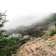 IMG6881.jpg